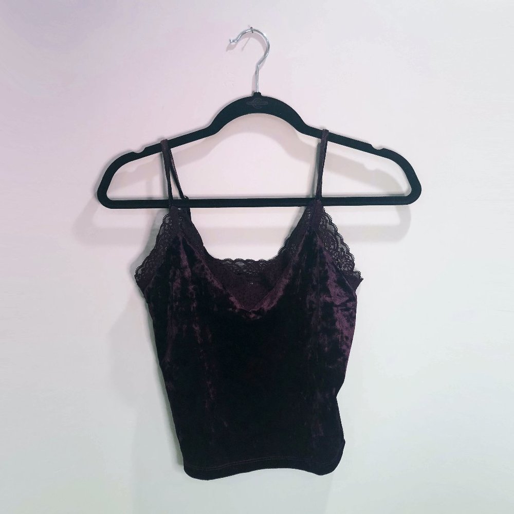 Cropped Velvet Cami with Lace Accents (NWT)